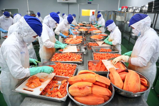 越南水果過剩悖論 加工工廠為何“缺”原料？